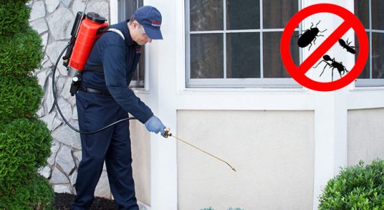 Sarıoğlan Bit İlaçlama böcek ilaçlama ve haşere kontrolü — ilaclama-tr.com
